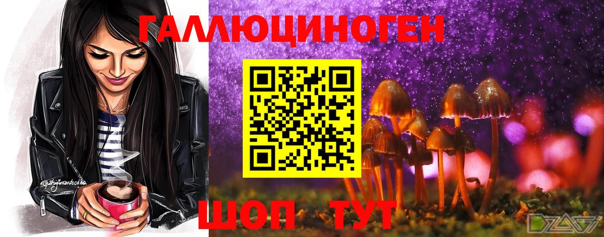 Псилоцибиновые грибы Magic Shrooms  Вход с VPN  хочу   Новозыбков 
